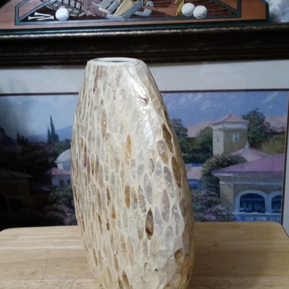 π€πFire Fly Mother of pearl vaseππππSize 12"Γ11",A Nice Gift Item.ππππ - Picture 3 of 7
